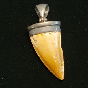 Stauer Incisor Pendant